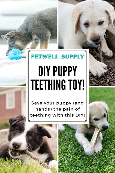 Homemade Puppy Toys, Puppy Chew Toys Diy, Diy Puppy Stuff, Diy Puppy Toys Teething, Keeping Puppy Busy Ideas, Puppy Boredom Busters Diy, Diy Puppy Teething Toys Dog Chews, Diy Puppy Toys, Diy Teething Toys