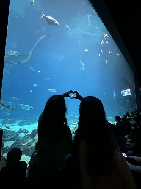 Aquarium Pics, Aquarium Aesthetic, Aquarium Pictures, Korean Best Friends, Two Best Friends, Surfer Girl, Cebu, Best Friends Forever, Good Night Quotes