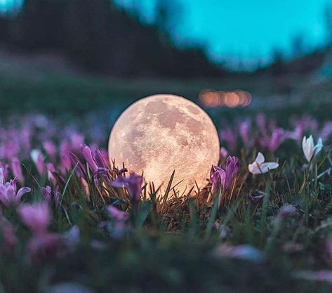 And the moon, she fell from the sky last night and waited for the sun to rise to kiss me awake... . img found on facebook (if you know or are the author of this pic, pls tell me, i will credit.) . #morning #photo #moon #spring #boho #luna #nature #dreamer #witch #mystical #meadow #lune #dusk #photooftheday #witchlife #bohemian #poem #photography #witchcraft #wicca #magic #ambient #shabbychic #tattoo #instawitch #gothic #magical #wiccan #witchesofinstagram #goth Moon Goddess Aesthetic, Goddess Aesthetic, Hillside Garden, Lavender Garden, Art Hub, Moss Garden, Garden Veggies, Classic Garden, Moon Garden