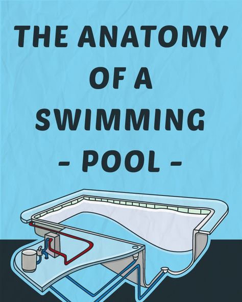 What is a swimming pool? When you boil it all down, a swimming pool is just a giant structure that holds a large amount of water. However, each swimming pool is different in its own special way. Swimming Pool Plumbing, Ideas De Piscina, Pool Plumbing, Swimming Pool Maintenance, Swimming Pool Filters, Pool Essentials, Swimming Pool Construction, Pool Life, Pool Care