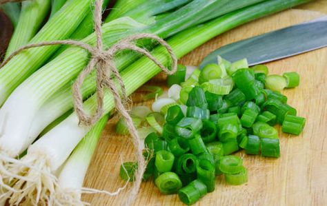 10 Green Onion Hacks Everyone Should Try Green Onions Recipes, Onion Seeds, Kitchen Scraps, Planting Onions, Yummy Mummy, Spring Onions, Vegetable Seeds, Onion Recipes, Organic Seeds