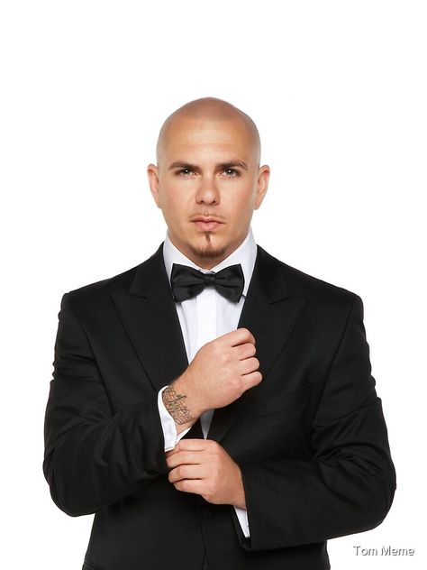 Pitbull The Singer, Mr Worldwide, Quiet Riot, Rock Radio, Halloween Inspo, Cartoon Drawing, American Rappers, Pitbull, Cartoon Drawings