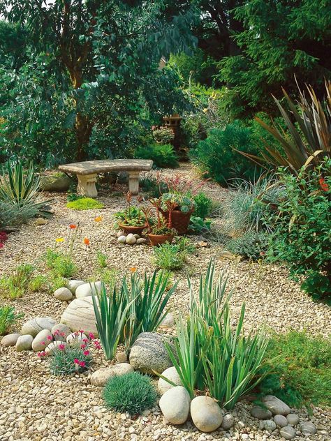 HGTV Gardens shows off the many ways gravel, pebbles, bark chips and other soft surfacing materials can look amazing in a garden design. Garden Gravel, River Rock Garden, Gravel Landscaping, Lots Of Plants, Hgtv Garden, Vertical Planter, Dry Garden, Gravel Garden, Rock Garden Landscaping