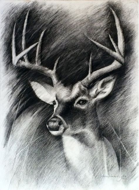 Debora Schubert Lytle "Deer" Charcoal on Paper, 30"x 22" Link to Debora's portfolio http://www.deboralytle.com/ Natural World Art, Hunting Decal, Hunting Tattoos, Best Drawing Ideas, Antlers Decor, Deer Drawing, Shadow Drawing, Deer Wall Art, Men Tattoo