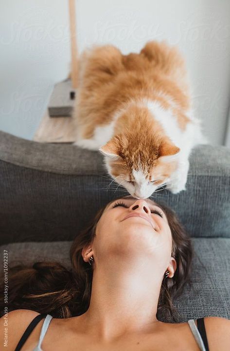 Cat Family Photo, Cat Photoshoot, Animal Photoshoot, Therapy Cat, Companion Animals, Viral On Tiktok, Cat Cuddle, Kitty Love, 50 Million