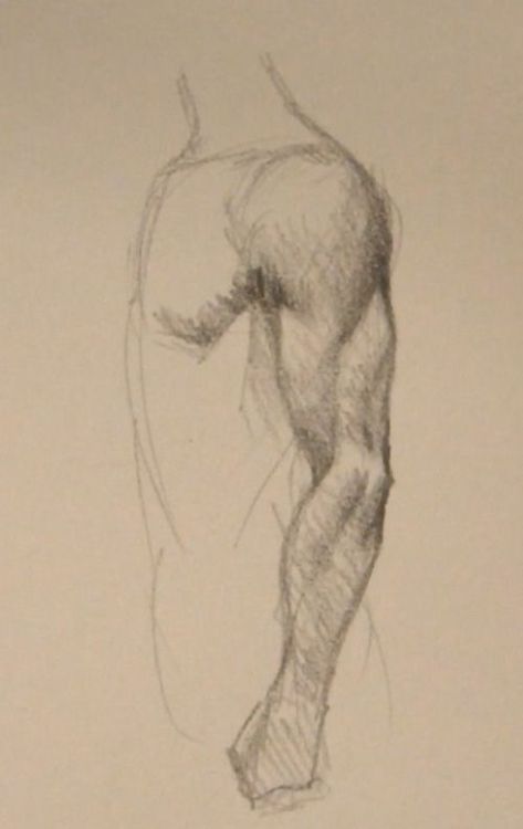 Japanese Sketch, Sketch Shading, Drawing Body Proportions, Figure Drawing Practice, Arm Anatomy, Male Body Drawing, Side View Drawing, Arm Drawing, Human Body Drawing