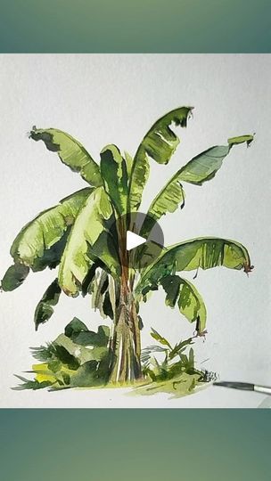 8.9K views · 132 reactions | Banana tree drawing very easy with watercolor #reelsfbviral #reelsvideo #reelsfacebook #artclass #reels #artist #artwork #art #drawing #treeart #banana | Kaizar Art | Mazharul Islam · ALLAHU ALLAH 11 Minute Banana Tree Watercolor, Banana Tree Painting, Banana Tree Drawing, Banana Tree Illustration, Confectionery Design, Botanical Sketchbook, Tree Watercolor Painting, Watercolor Paintings Nature, Nature Sketch