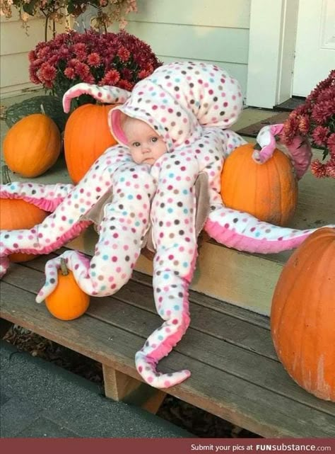 Baby Kostüm, Baby Octopus, Halloween Costumes For 3, Cute Halloween Costumes, Baby Halloween Costumes, Family Halloween, Baby Costumes