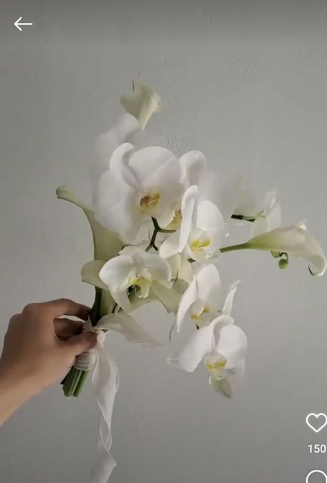 Modern Minimal Bouquet, Modern Minimalist Bouquet, Small White Orchid Bouquet, Green Orchid Wedding Bouquet, Minimal Orchid Bouquet, Drapey Bouquet, Simple White Orchid Bouquet, Orquid Bouquet, Orchid And Calla Lily Bouquet