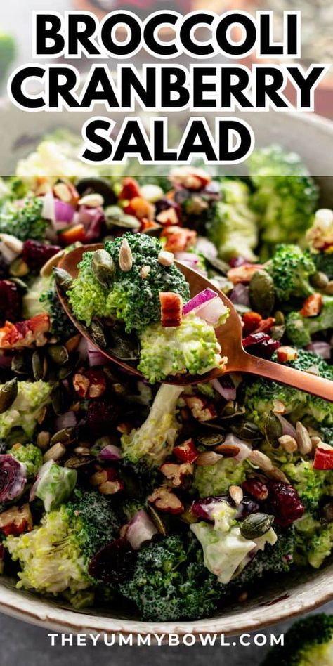 Broccoli Cranberry Salad is a fresh and vibrant side dish with its combination of earthy, tart, and sweet flavors with pops of savory goodness from seeds and nuts! Tossed in a homemade lemon yogurt dressing for a creamy and tangy finish and chilled to make it even more flavorful and refreshing. The perfect make-ahead salad that is ready for chilling in less than 5 minutes! Broccoli Cranberry Salad, Creamy Chicken Mushroom Pasta, Broccoli Salad With Cranberries, Cranberry Salad Recipes, Christmas Salad, Thanksgiving Salad, Make Ahead Salads, Holiday Side Dish, Christmas Salads