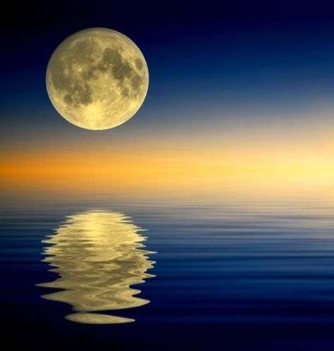 Craig W Clough - Full Moon Reflecting on Water Diffuse Reflection, Moon Dance, Moon Images, Shoot The Moon, Moon Shadow, Moon Photos, Night Moon, Moon Pictures, Beautiful Moon