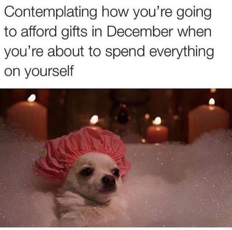 Contemplating how you're going to afford gifts in december Chihuahua Bathtub Meme - Funny Christmas Memes, Christmas Memes Funny, Christmas Memes, Pet Holiday, Funny Love, Dog Memes, A Christmas Story, Double Tap, Super Funny