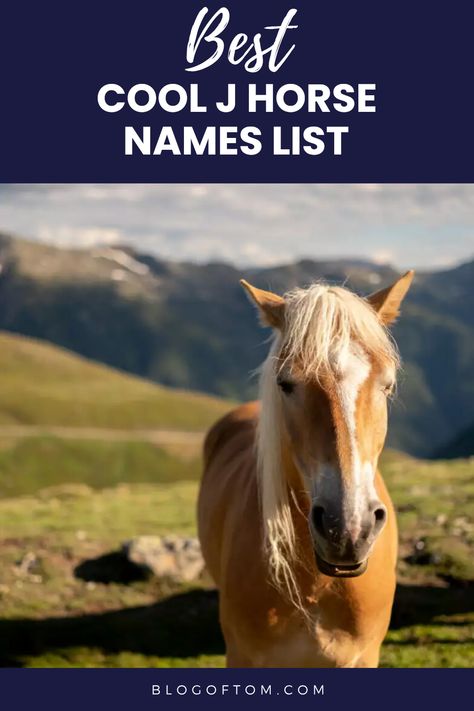 Looking for the perfect horse name that starts with the letter J? You've come to the right place! Our list features 399 unique names for horses, whether you have a stallion or a mare. From joyful and jaunty to classy and cool, you're sure to find a name that's just right for your equine friend. Choosing the right horse name is so exciting and we’ve got loads of options to make it easier. Don’t miss out on the best horse names of 2024! Save this post and follow us for more fabulous horse naming tips! Unique Horse Names, Names For Horses, Funny Horse Names, Best Horse Names, Badass Names, Female Horse, J Names, The Letter J, Powerful Names