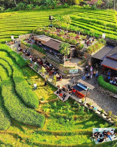 Coffee House Design, Farm Cafe, Outdoor Restaurant Design, Farm Plans, Resort Architecture, Farm Layout, Rice Field, Outdoor Living Design, Resort Design