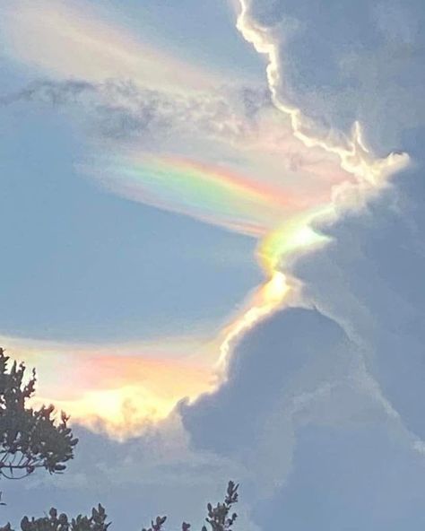 Cloud Iridescence, Angel Clouds, Rainbow Pictures, Florida Woman, Fire Rainbow, Rainbow Sky, Atmospheric Phenomenon, Rainbow Cloud, Beautiful Landscape Wallpaper