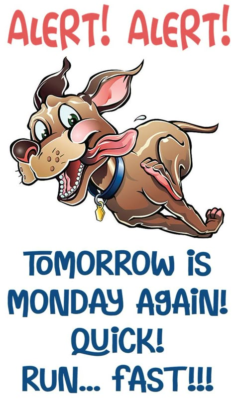 Tomorrow Is Monday Humor, Tomorrow Is Friday, Sunday Greetings, Tomorrow Is Monday, Happy Day Quotes, Disney Quotes Funny, Monday Motivation Quotes, Monday Again, Monday Humor