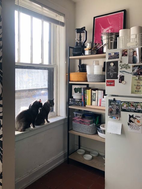 Apartment Library, Apartment Rooms, Tiny Apartment Living, Cat Area, Studio Apartment Living, Cute Apartment, Chicago Apartment, Apartment Goals, Rental Apartment