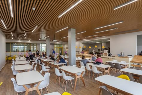 https://educationsnapshots.com/projects/1540/new-school/ College Canteen, Staff Canteen, Canteen Design, Cafeteria Design, Office Canteen, School Canteen, Modern Classroom, New School Aesthetic, School Interior