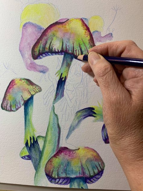 Shroom Art, Derwent Inktense Pencils, Derwent Pencils, Inktense Pencils, Watercolor Pencil Art, Derwent Inktense, Colored Pencil Techniques, Watercolor Paintings Easy, Mushroom Art