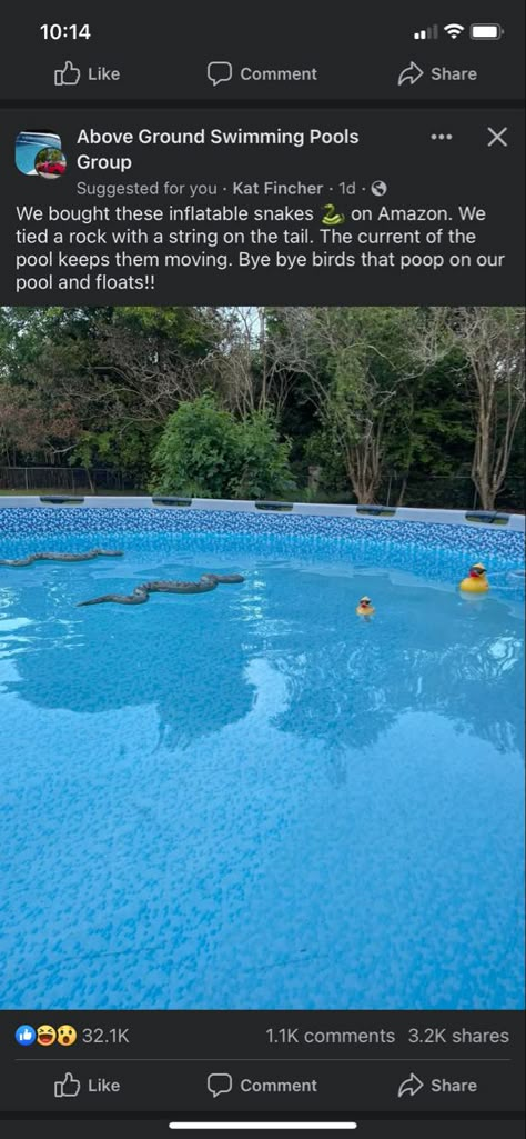 Pool Tips And Tricks Life Hacks, Above Ground Pool Tips And Tricks, Homemade Pools, Swimming Pool Maintenance, Outdoor Pool Area, Pool Hacks, Pool Care, Pool Maintenance, Pool Time