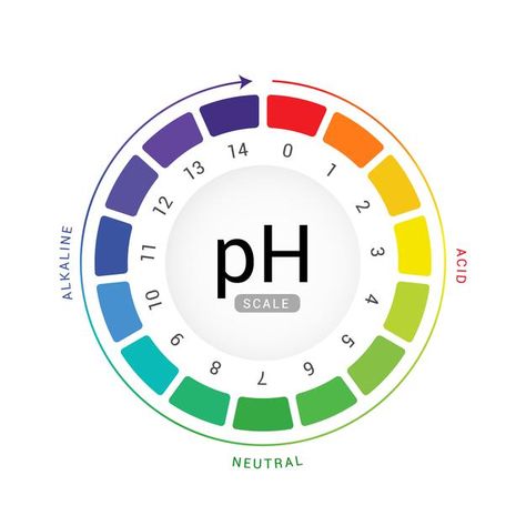 Ph scale indicator chart diagram acidic ... | Premium Vector #Freepik #vector #background #infographic #food #water Infographic Food, Ph Scale, True North, Cool Outfits For Men, Vector Background, Premium Vector, Pie Chart, Media, Quick Saves