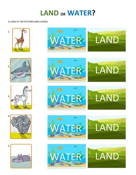 Land or water interactive worksheet Animals Live In Water And Land Worksheet, Land And Water Animals Worksheet, Land Animals Worksheet, Land Animals Preschool Activities, Water Animals Worksheets For Kids, Habitat Worksheet, Animals Live In Water, Where Do I Live, Animal Riddles