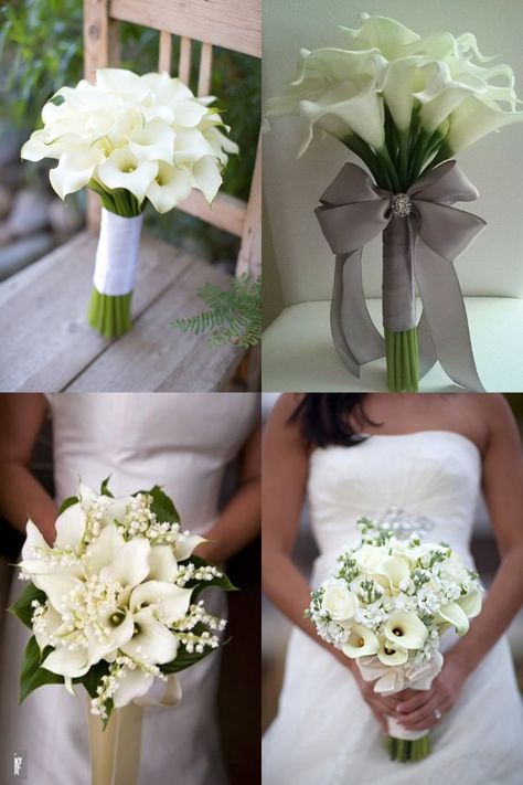 calla lily wedding bouquet ideas Calla Lily And Hydrangea Bouquet, White Filler Flowers Wedding, Calls Lily Wedding Bouquet, Cala Lilly Wedding Bouquet White, Calalilly Bouquet Modern, Single Lily Bouquet, Bridal Bouquet Calla Lily, Wedding Bouquet Calla Lily, Calla Wedding Bouquet