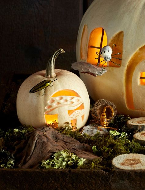 See Why Mushroom Decor Is Going to Be This Year's Hottest Halloween Trend Pumpkin Carving Mushroom, Mushroom Carved Pumpkin, Pumpkin Mushroom Art, Mushroom Pumpkin Carving, Mushroom Jack O Lantern, Pumpkins And Mushrooms Art, Spooky Mushroom, Cottagecore Pumpkin, Halloween Mushroom