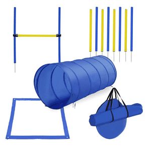 Dog Agility Equipment, Dog Agility Training, Agility Training For Dogs, Animal Pen, Agility Training, Training Kit, Obstacle Course, Dog Agility, High Jump