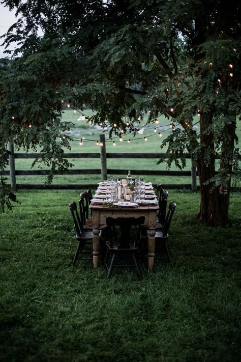 backyard dining Local Milk, Shenandoah Valley, Al Fresco Dining, The Grass, Outdoor Entertaining, Country Life, Farm Life, Table Set, Outdoor Table