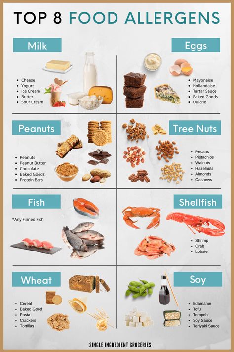 Did you know that the top 8 food allergens make up 90% of all food allergies today? This list of the Top 8 food allergens will give you examples of food allergen examples and safe food substitutions. Get our handy food allergy infographic for daily use. https://www.singleingredientgroceries.com/top-8-food-allergens-and-food-substitutions-you-should-know/ #peanutallergy #foodallergy #milkallergy Fish Allergy, Shellfish Allergy, Food Allergies Awareness, Tree Nut Allergy, Allergy Awareness, Starting Solids, Peanut Allergy, Food Substitutions, Food Allergens