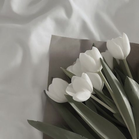 White + Core + Aesthetic, Facebook Layout, Cream Aesthetic, Gray Aesthetic, Apple Watch Wallpaper, White Tulips, Black And White Aesthetic, Iphone Icon, White Wallpaper