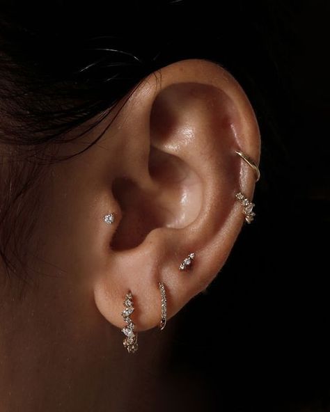 Ear Piercings And Tattoos, Lots Of Earrings On Ear, Sarah And Sebastian Earrings, Ear Piercing Designs Classy, Small Ear Piercings Ideas Classy, Balanced Ear Piercings, Ear Piercing Ideas Studs, Piercings Ear Silver, Peircings Earring Aesthetic