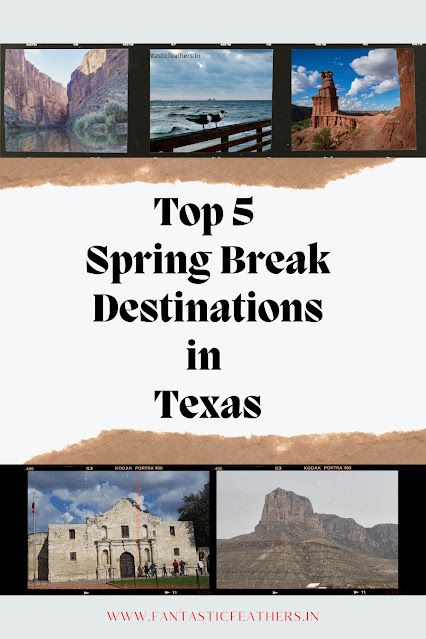 Fantastic Feathers: 5 Best Spring break destinations in Texas #WriteAPageADay Spring Break In Texas, Hiking In Austin Texas, Hikes In Austin Texas, Quick Spring Break Trip, Colorado Bend State Park, Best Spring Break Destinations, Caprock Canyon State Park, Dripping Springs Texas, Caddo Lake State Park