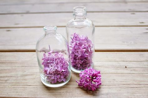 Lilac Recipes, Homemade Body Spray, Lilac Oil, Eating Flowers, Lilac Perfume, Herbal Cosmetics, Lilac Candles, Lilac Plant, Lilac Scent