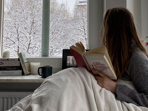 Reading A Book, The Window, A Book, A Girl, A Woman, Trees, Reading, Bed