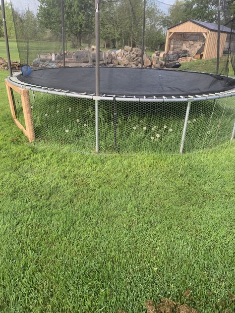 How to Turn A Trampoline into a Chicken Coop and Still Jump on It! 2 Chicken Coop From Trampoline Frame, Trampoline Chicken Run, Trampoline Chicken Coop Diy, Trampoline Chicken Coop, Chicken Shelter, Old Trampoline, Meat Birds, Chicken Tractor, Chicken Coop Designs