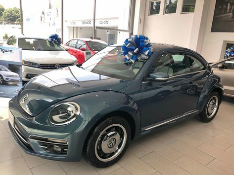 Volkswagen Beetle Coast 2018 2015 Vw Beetle, 2018 Volkswagen Beetle, Bug Car, Old Vintage Cars, Beetle Car, Beetle Convertible, Volkswagen Car, Cars Muscle, Car Aesthetic