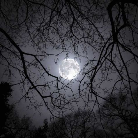 Grey Moon Aesthetic, Moon Fairy Aesthetic, Moon Icon Aesthetic, Moon Aesthetic Icon, Moon Aestethic, Moon Dark Aesthetic, Lady Selene, Winter Icons Aesthetic, Dark Moon Aesthetic