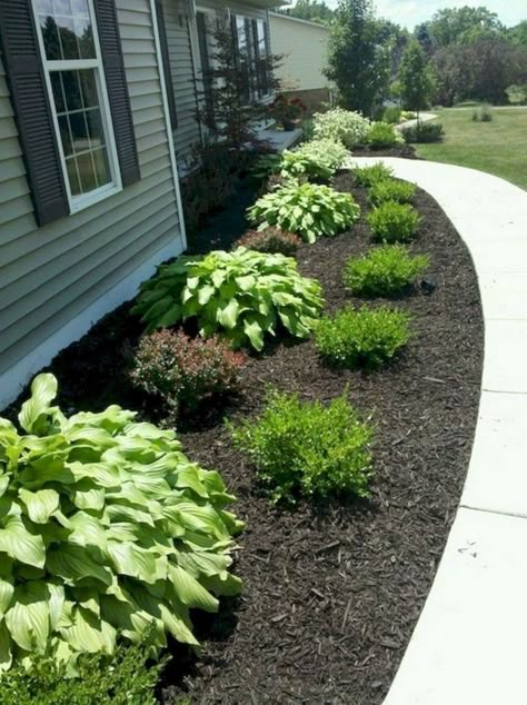 20+ PLAIN FRONT YARD LANDSCAPING IDEAS FOR YOUR GARDEN SPACE #yard #gardening #gardeningideas Home Landscaping Ideas, Low Maintenance Backyard, Side Yard Landscaping, Feeling Blessed, Small Front Yard Landscaping, Front Yard Landscape, Small Front Yard, Farmhouse Landscaping, Front Yard Ideas