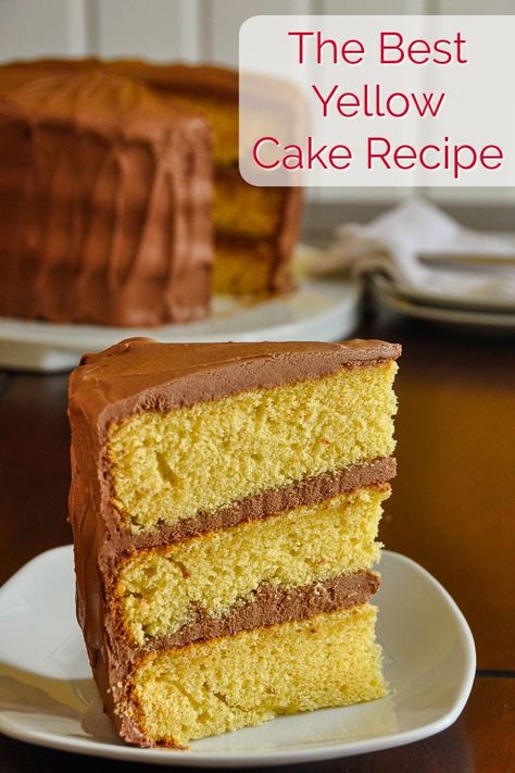 The Best Yellow Cake Recipe, Homemade from Scratch. A moist, delicious, beautifully textured cake, paired in a classic combination with chocolate frosting. Yellow Cake Homemade, Cake Made With Cake Flour, Best Yellow Cake Recipe, Cake Recipe Homemade, Textured Cake, Homemade Yellow Cake, Cupcake Recipes From Scratch, Yellow Cake Recipe, Coconut Dessert