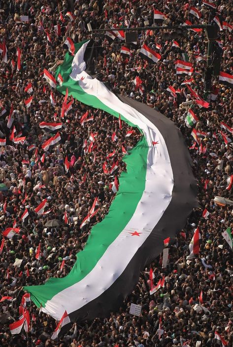 Human Amity, Syrian Revolution, Syrian Flag, Syria Pictures, Syria Flag, Awsome Pictures, Graduation Images, Second Anniversary, Bad Girl Wallpaper