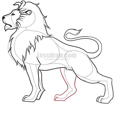 Lion Drawing Simple, Art Pencil Set, Feline Anatomy, Race Car Coloring Pages, Lion Sketch, Cats Art Drawing, Chalkboard Drawings, Lion Drawing, Animal Drawings Sketches