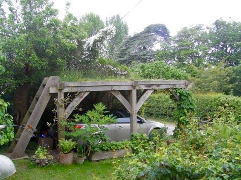 HEREFORD - 4 Green Roof Carport, Small Carport, Car Port, Green Roofs, Carport Garage, Carport Designs, Living Roofs, Underground Homes, Bike Shed