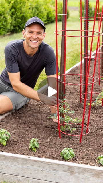 Kaleb Wyse on Instagram: "If you grow tomatoes, you need to know how to stake them. Here’s how to do it!" Staking Tomatoes, Tomato Stakes, Wyse Guide, Grow Tomatoes, Plant Ideas, Growing Tomatoes, Edible Garden, Healthy Plants, Gardening Ideas