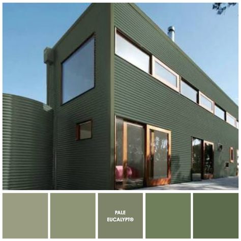 Specified vs. Perceived Colour. The difference in COLORBOND® Pale Eucalypt can vary and become more saturated as well as lighter when viewing exterior colour in full sun or darker in shadow.  Colour palette by Zena O’Connor using an image of COLORBOND® Pale Eucalypt  wall cladding and roofing featured in an image by Backyard Pods. Colorbond Pale Eucalypt, Outside House Paint Colors, Exterior Paint Colours, Outside House Paint, Denmark House, Orchid Blue, House Colours, House Cladding, Shed Colours