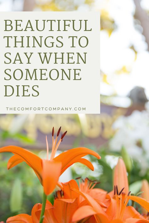 Searching for the right words to say when someone dies? Our latest post offers compassionate phrases and heartfelt advice to help you express sympathy after the loss of a loved one. Click to learn more if you're wondering what to say to someone who has lost someone dear to them. Comforting Messages, Short Condolence Message, Condolences Messages For Loss, How To Comfort Someone, Ways To Say Sorry, Sympathy Card Sayings, Loss Of A Friend, Simple Phrases, Words Of Sympathy