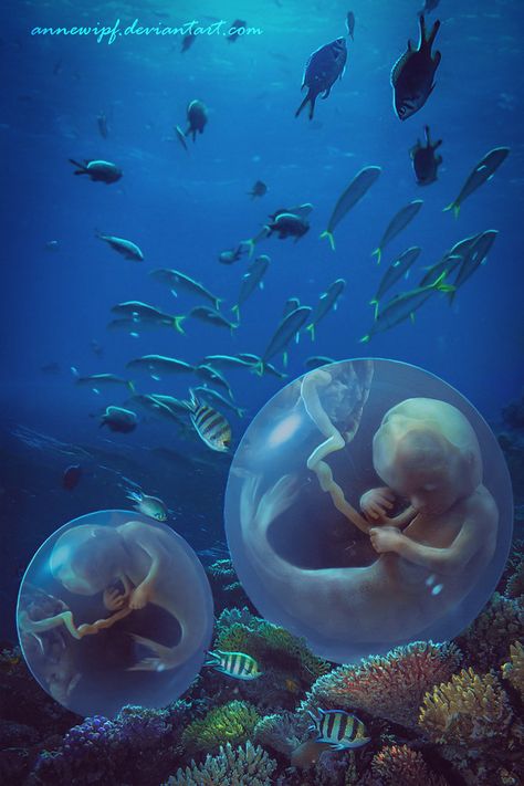 My entry for the Water Babies Challenge hosted by I CERTIFY THAT ALL THE RESOURCES USED IN THIS PICTURE ARE VALID AND ALLOWED FOR BEING USED INTO A PHOTOMANIPULATION Stock used:     Backg... Dnd Mermaid, Mermaid Egg, Mermaid Siren, Mermaid Painting, Mermaid Pictures, Fantasy Worlds, Baby Mermaid, Mermaid Life, Art Photos