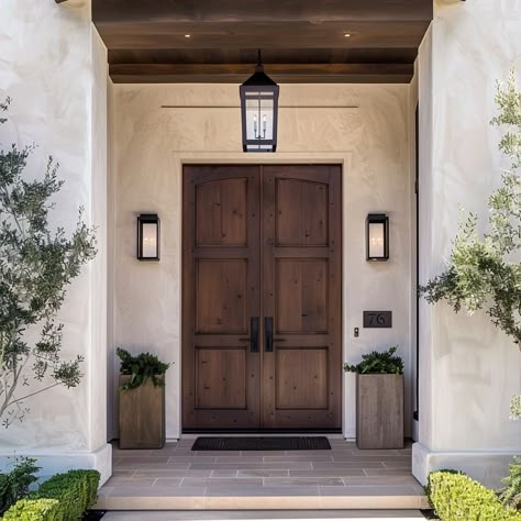 Modern entrance door