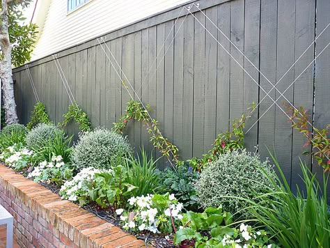 Hedge Garden Design, Hedge Garden, Garden Vines, Sloped Garden, Plants Growing, Evergreen Plants, Garden Inspo, Garden Area, Family Garden